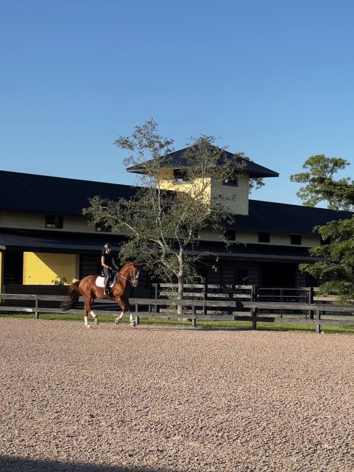A horse and rider schooling in the arena before the barn