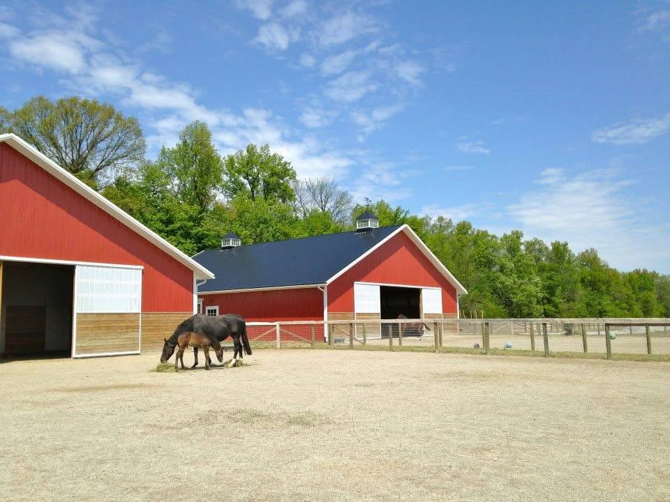Duncan Run barns with horses grazing in the sand paddock