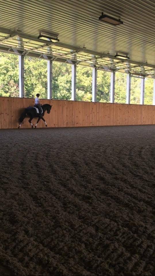 Rider schooling in the window-lined indoor arena