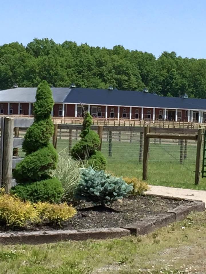 The red barns beyond the landscaped beds