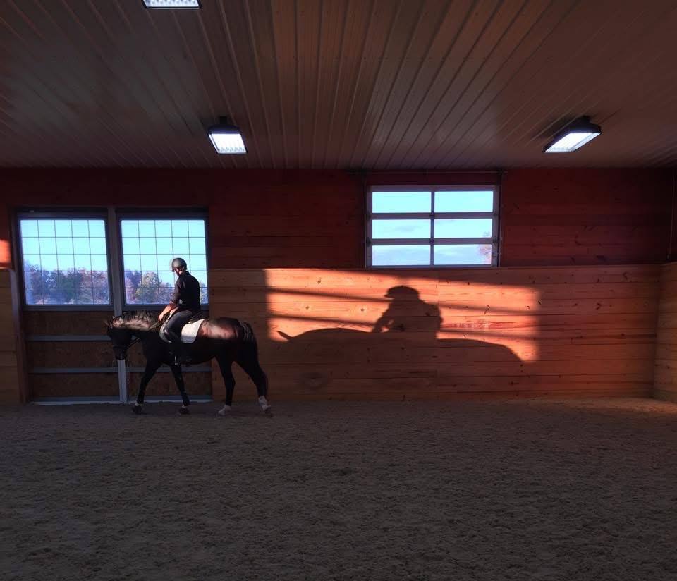 Late light through the arena windows