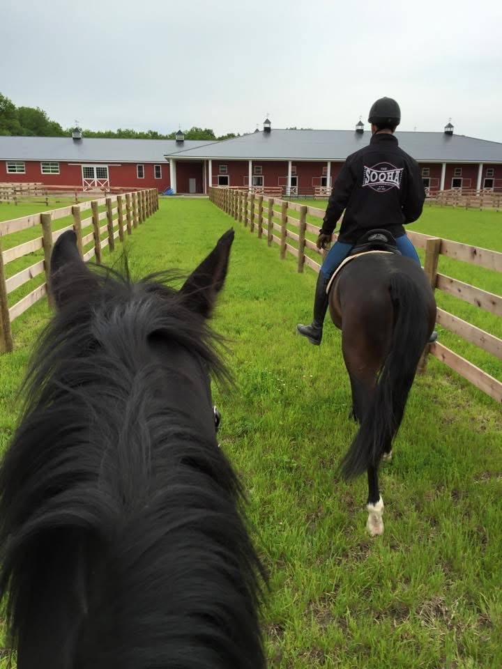 Riding out toward the barns on a summer morning