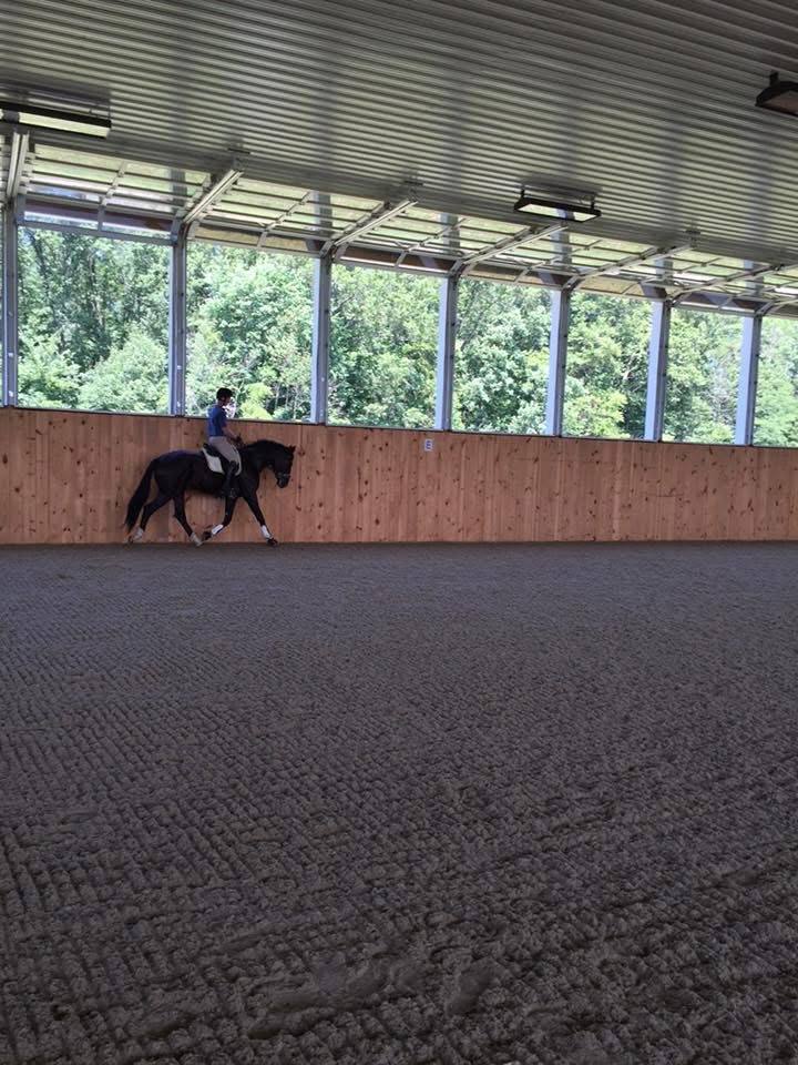 Schooling in the indoor arena
