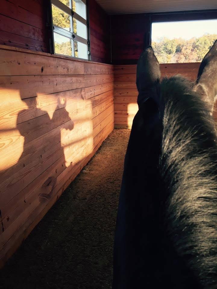 Golden-hour view from the saddle