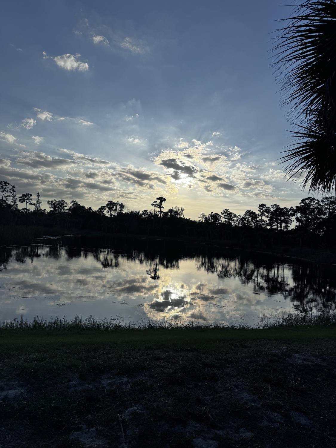 Sunset reflected on the pond