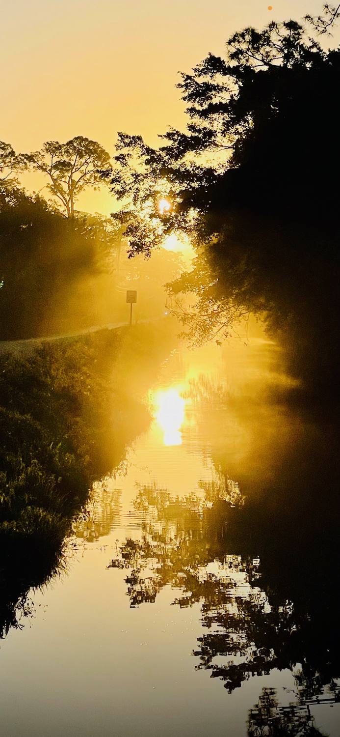 Morning light over the canal