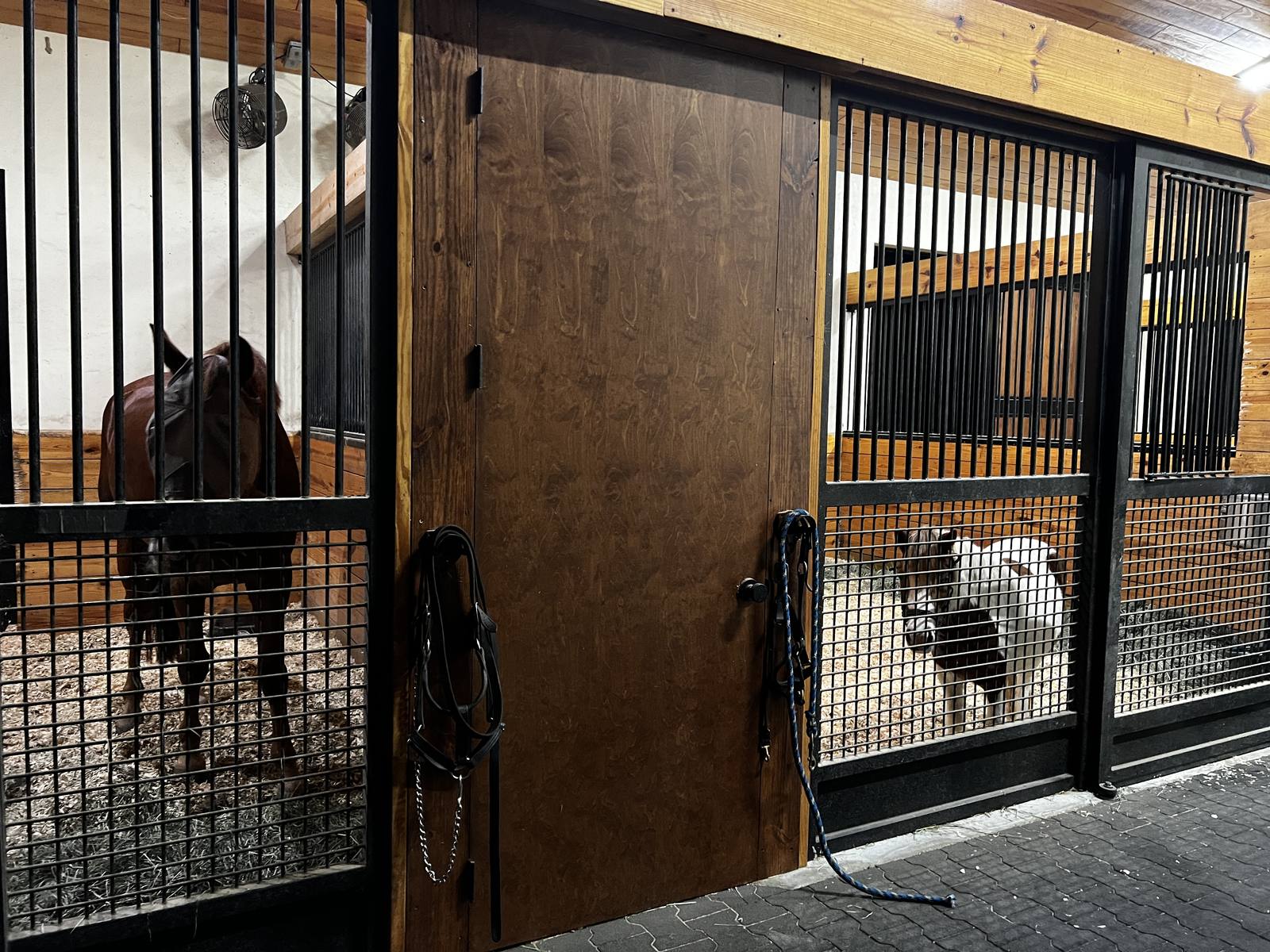 The four-stall barn aisle with horses at their stalls
