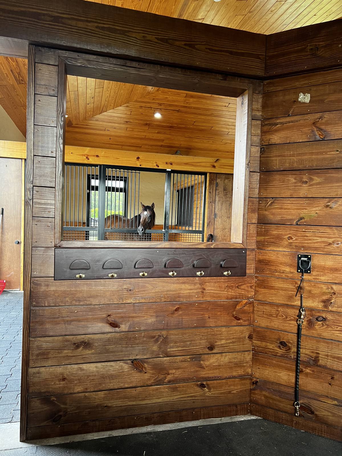A horse at the stall feed window