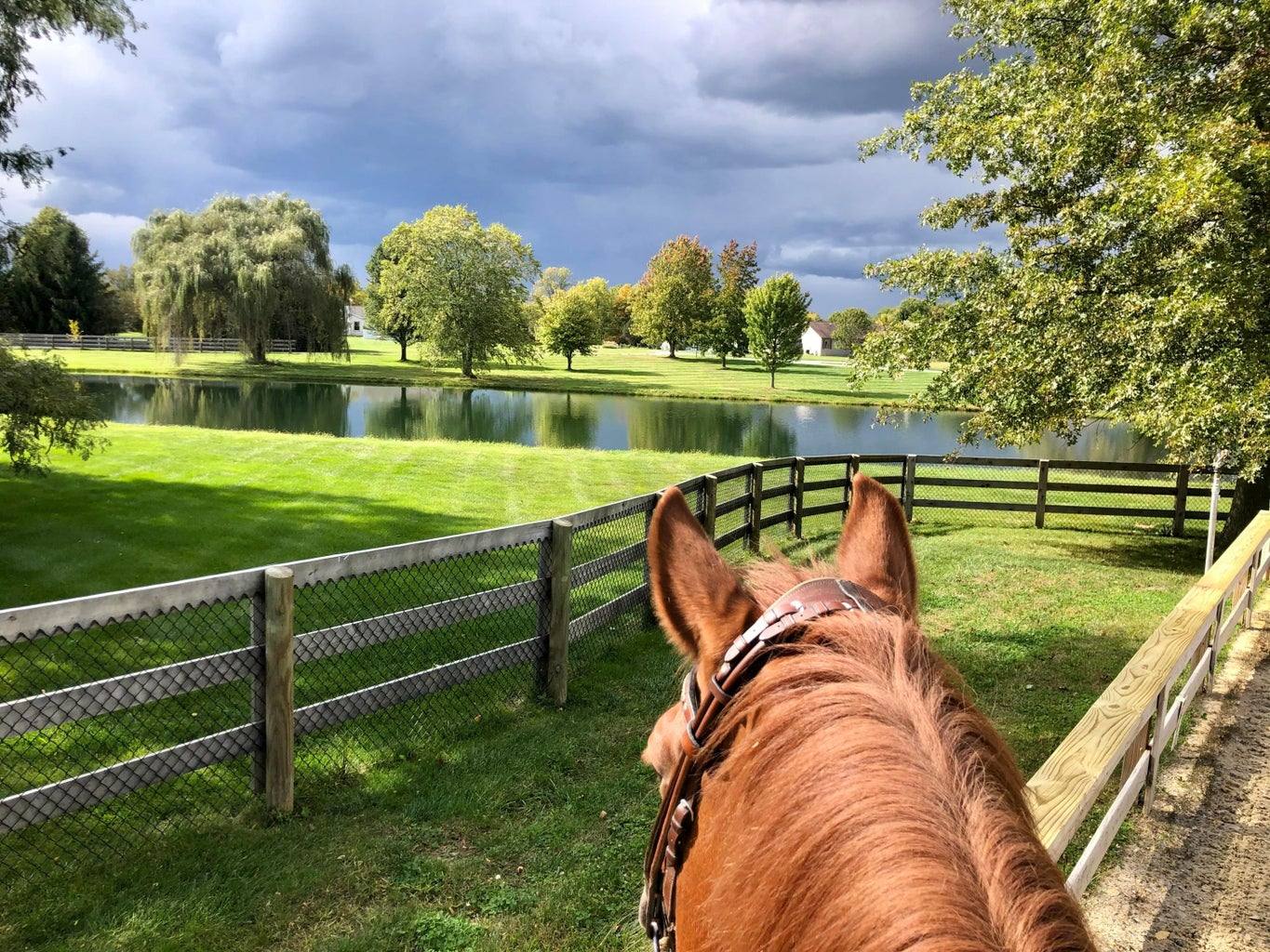 A rider’s view over the pond at The Green Orb under a stormy sky