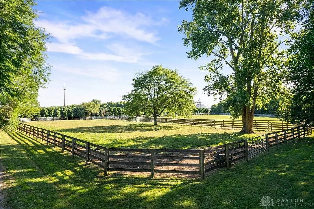 A tree-shaded paddock with four-board fencing