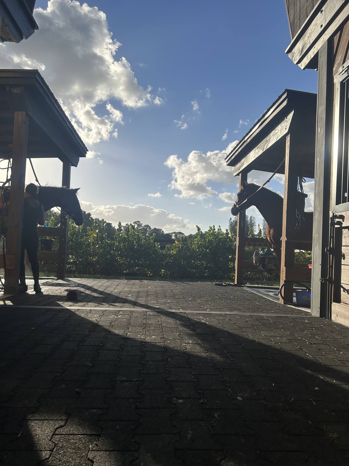 Covered walkway looking out from the main barn