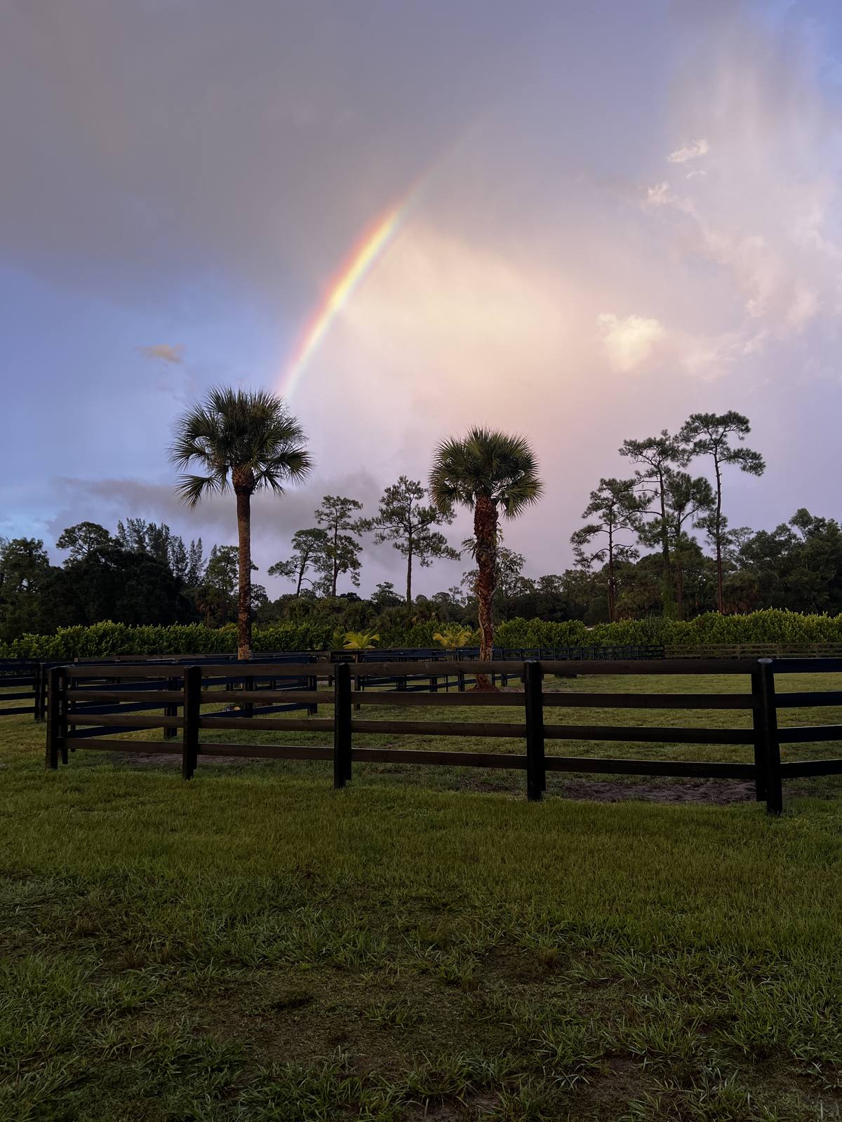 A rainbow over the paddocks after rain