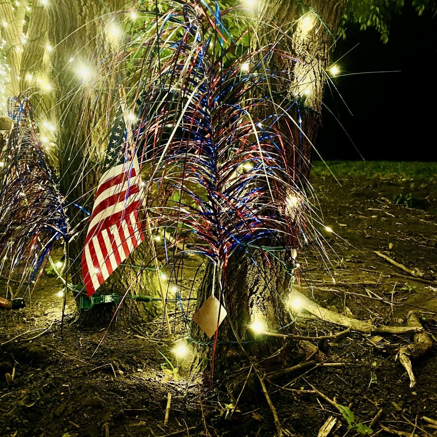 Patriotic lights and a flag at the base of an old tree