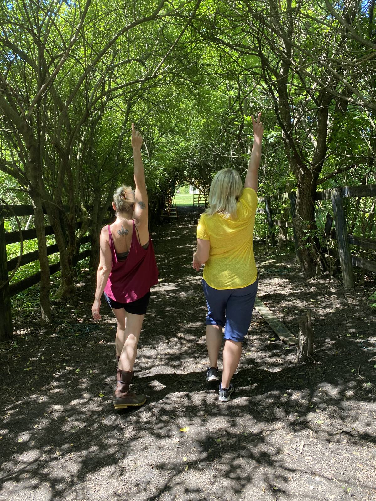 Walking the canopy path