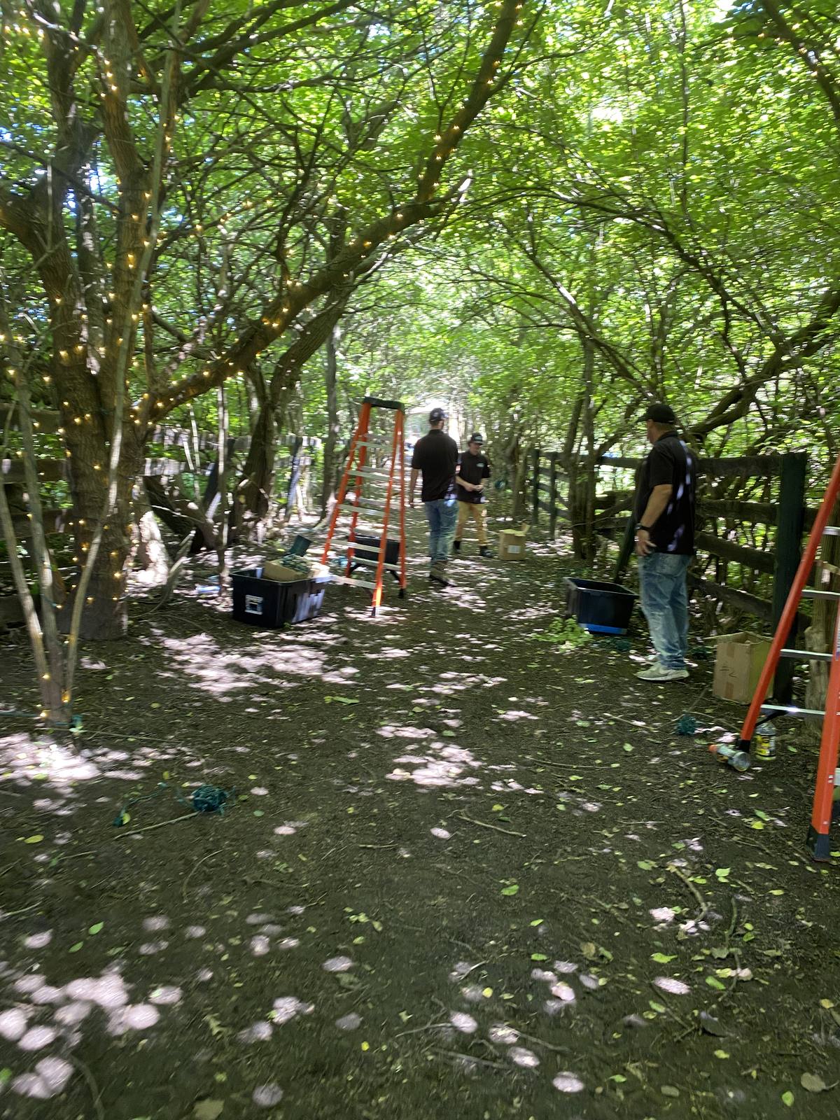 Setting up beneath the canopy