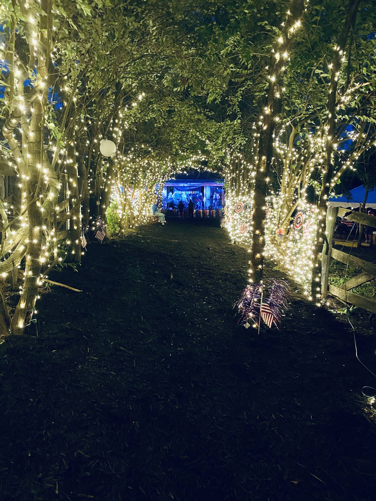 String lights glowing along the canopy walk at night