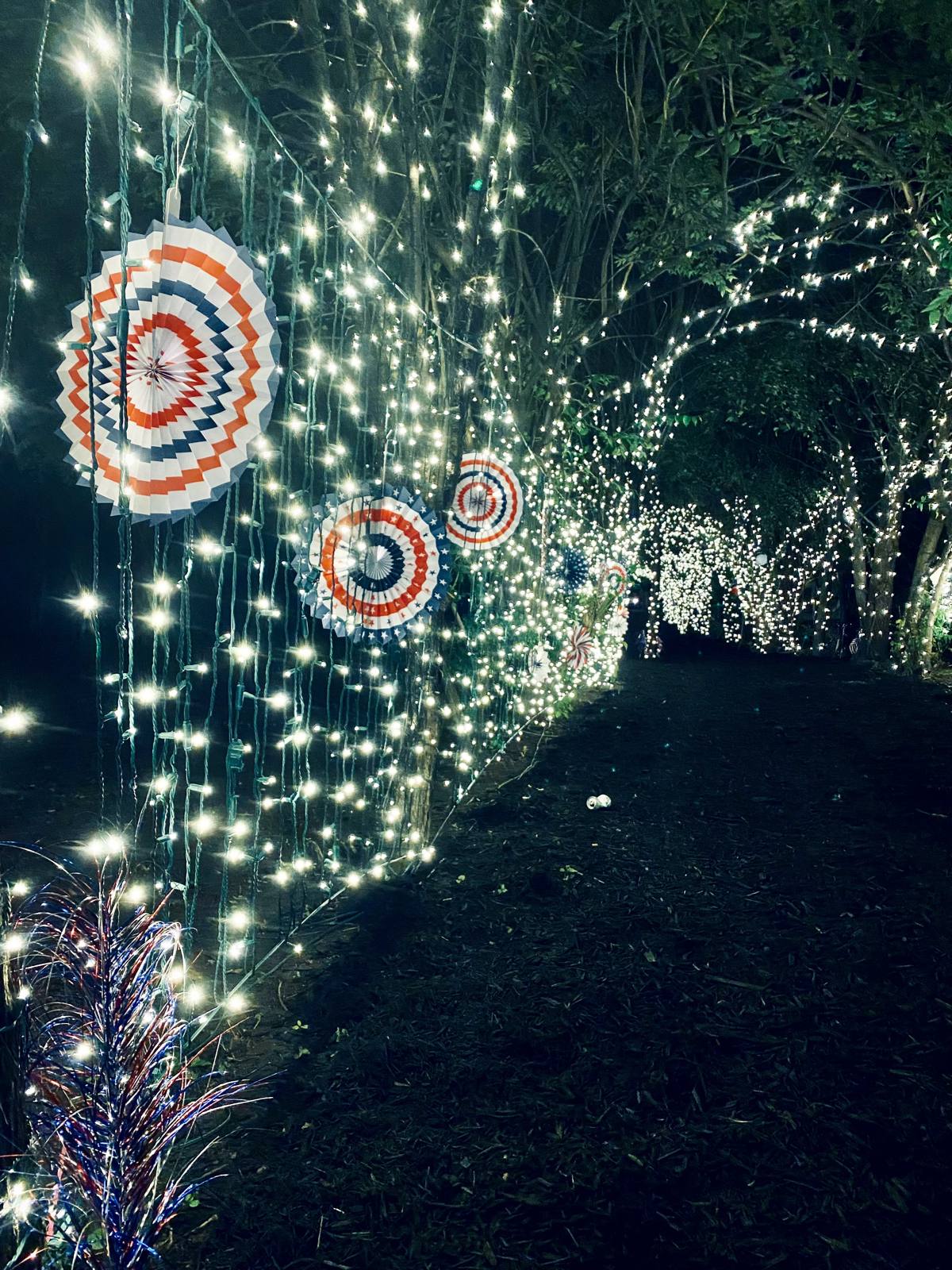 The string-lit canopy walk with hanging decorations at night