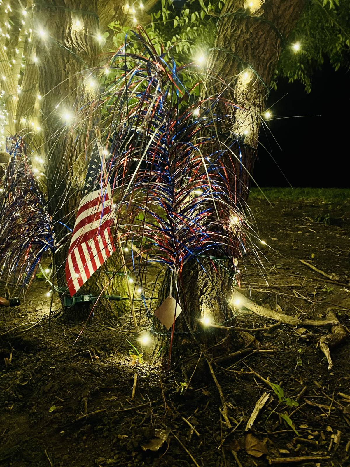 Flags and string lights in the trees at night